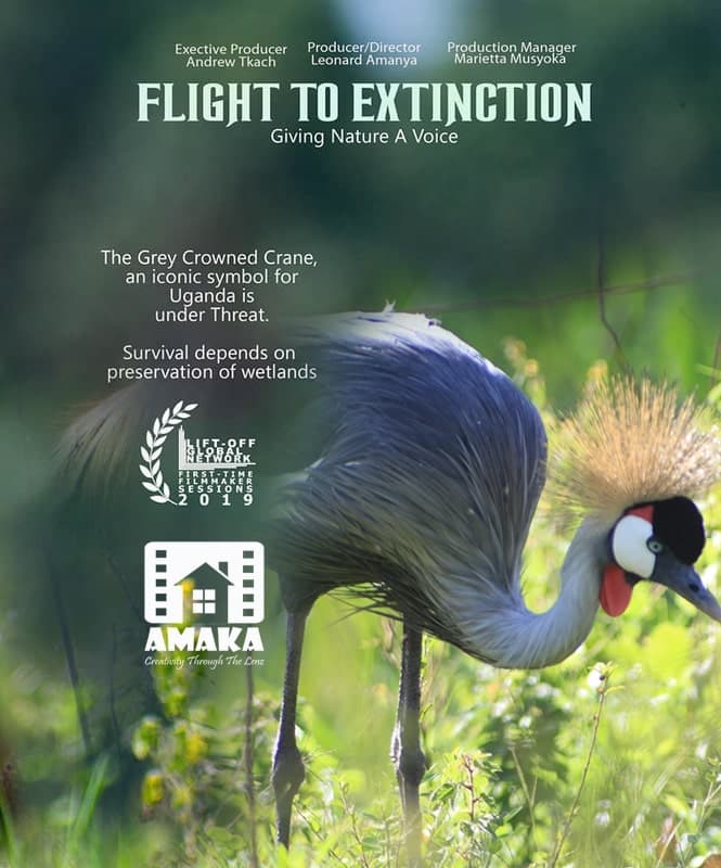 FLIGHT TO EXTINCTION